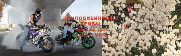 дмт Алзамай