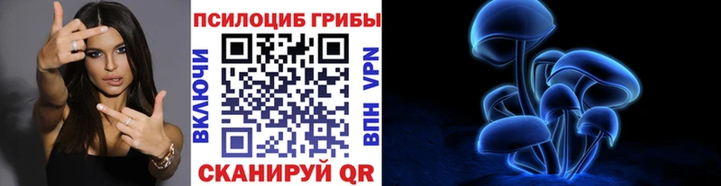 Псилоцибиновые грибы GOLDEN TEACHER  Купить  Ачинск 